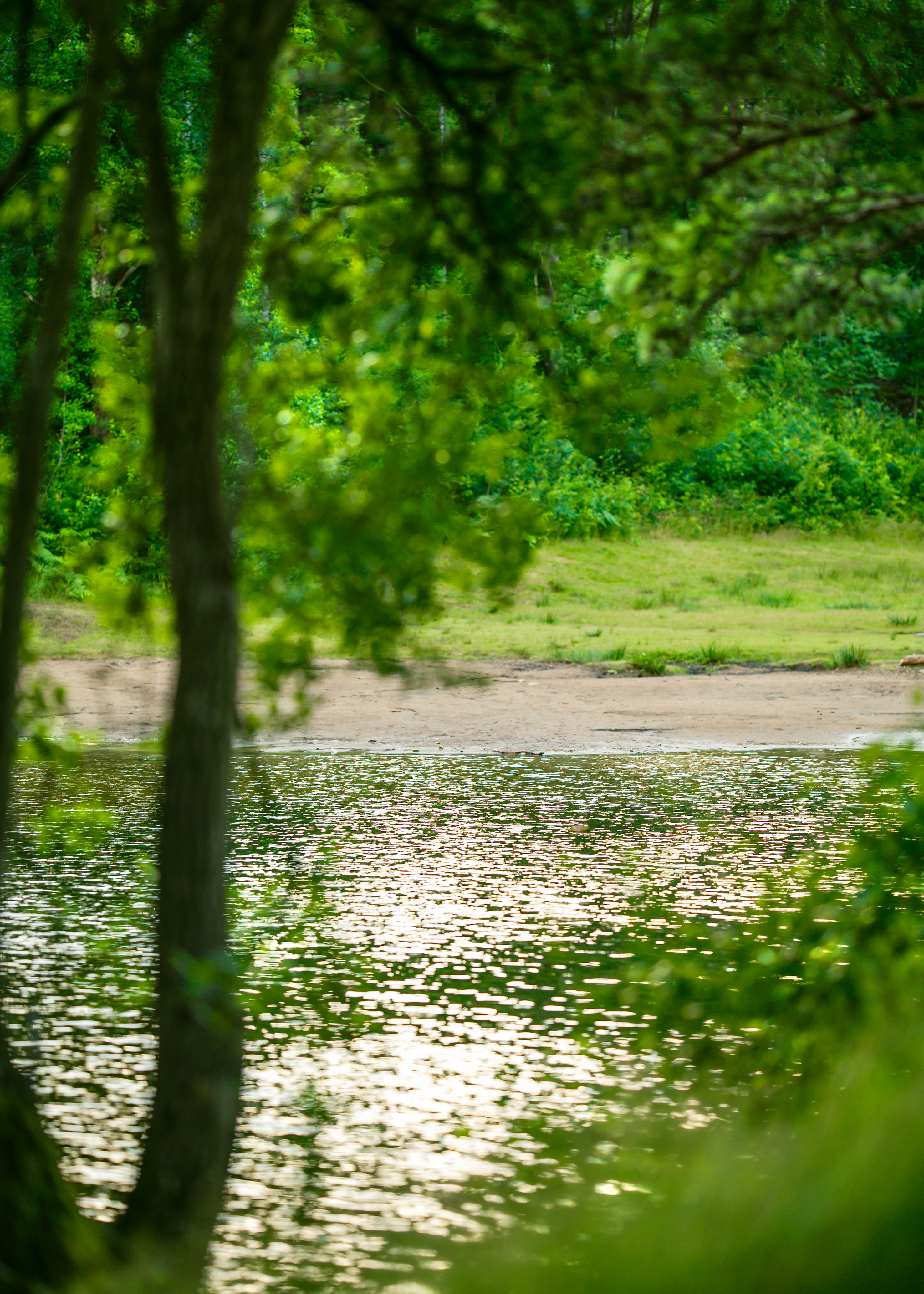 Ett vattendrag med badstrand bakom grönskande träd och buskar.