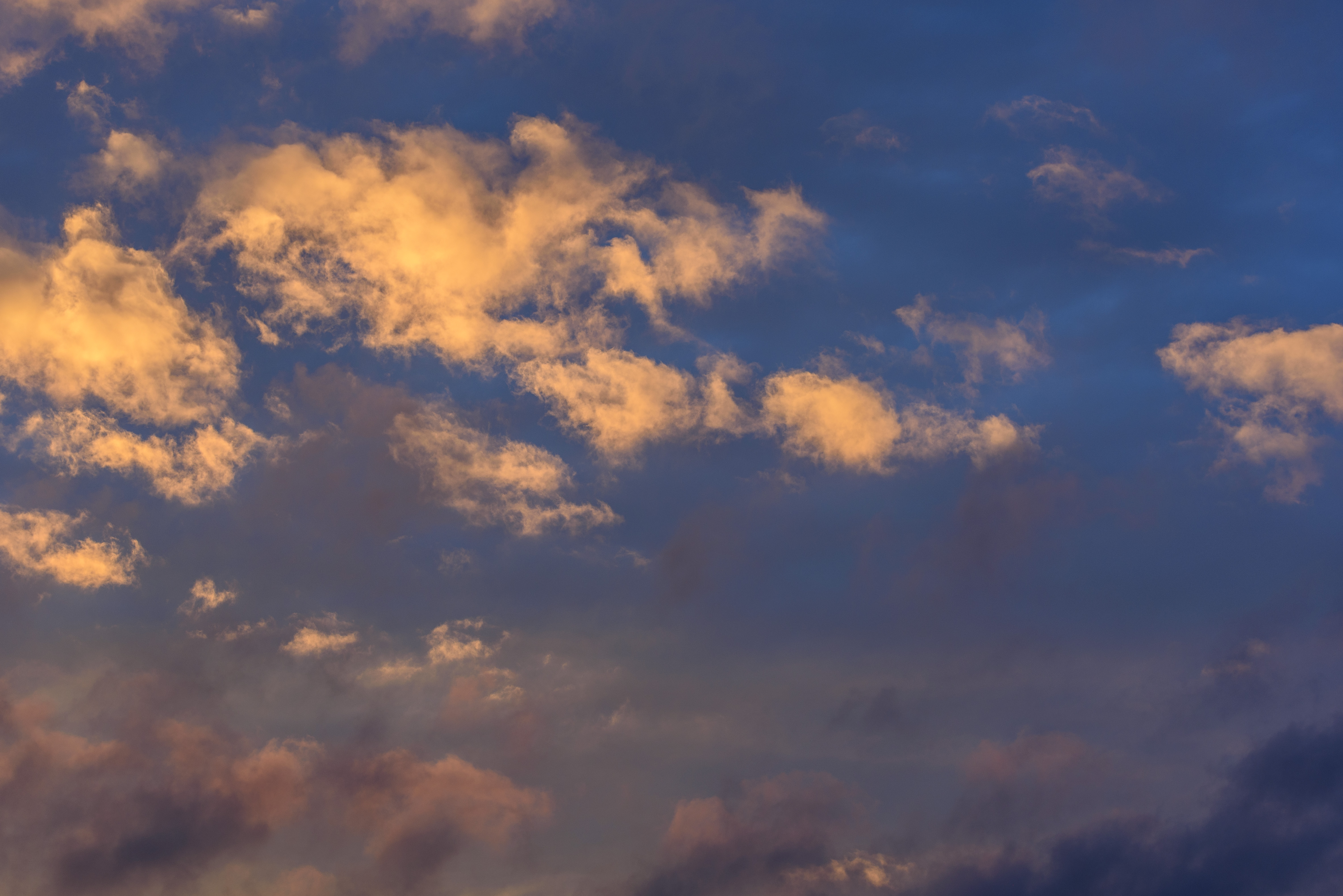 En kvällshimmel med solbelysta moln.