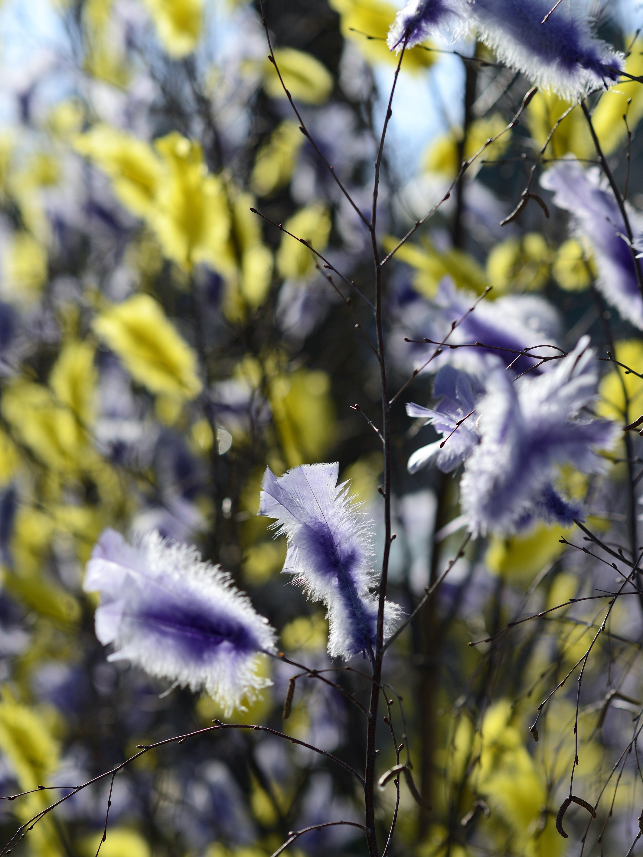 Påskris i gult och lila.