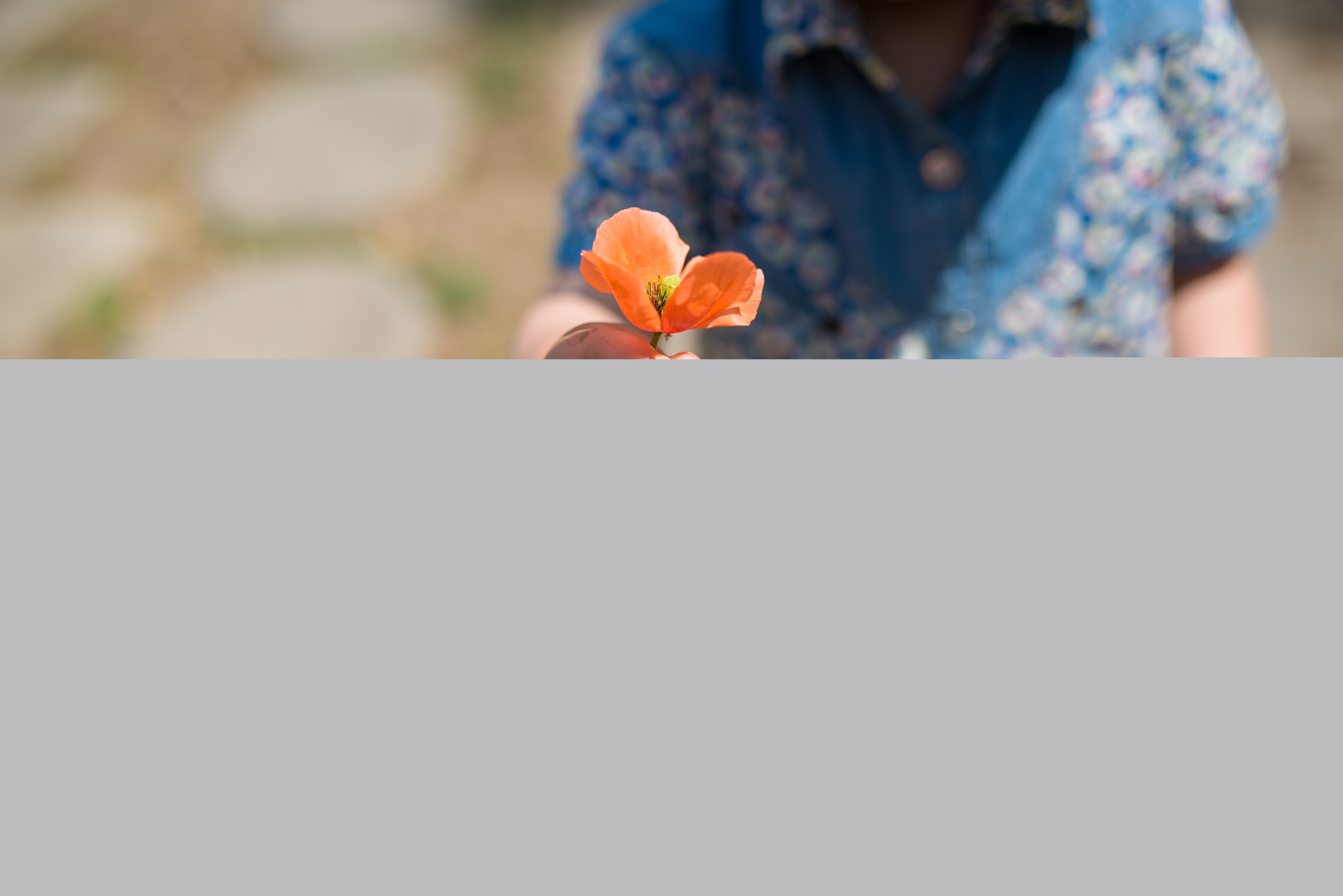 Ett litet barn räcker över en vallmo till en vuxen.