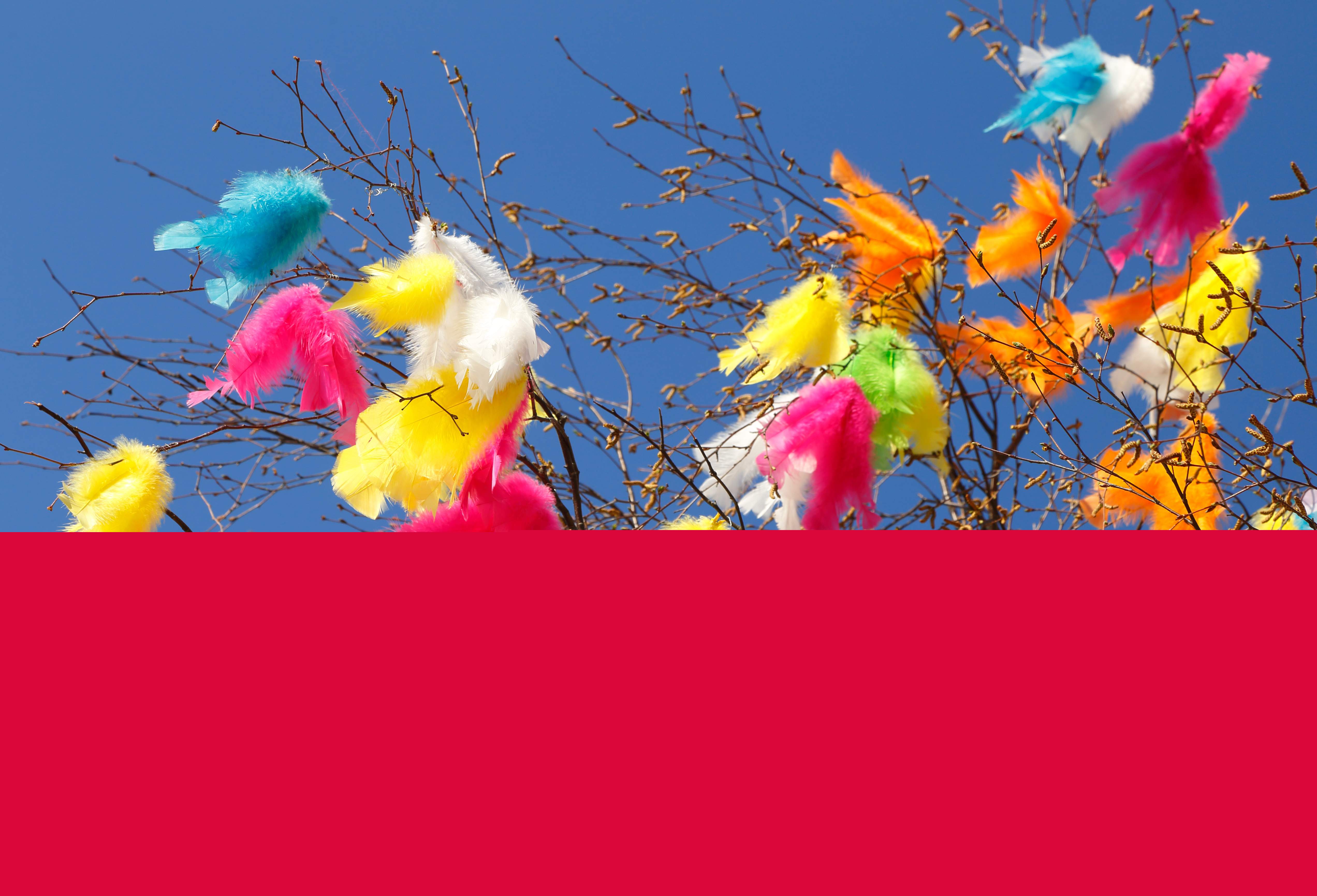 Ett påskris med färgglada fjädrar.