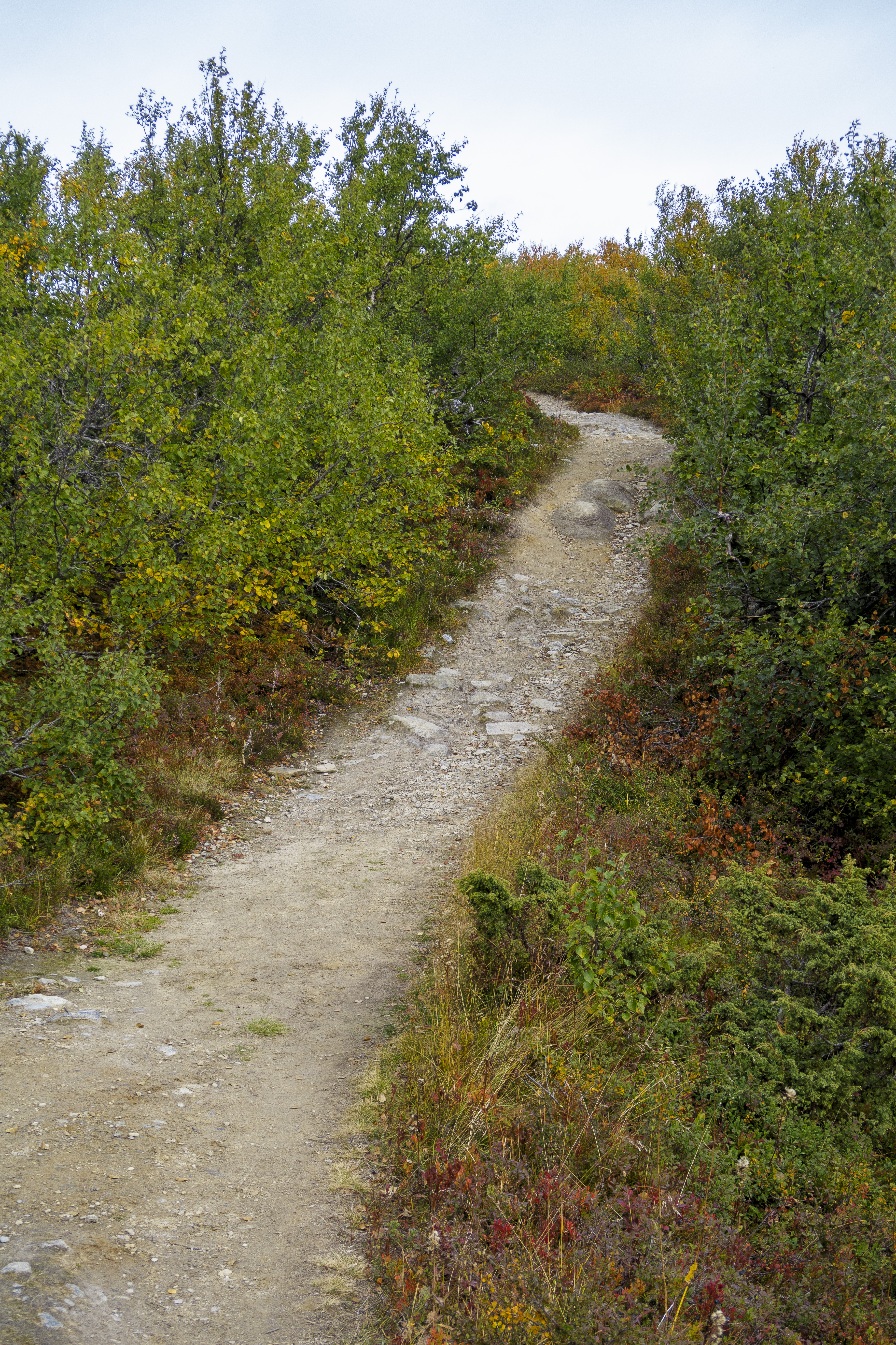 En vandringstig i fjällen.