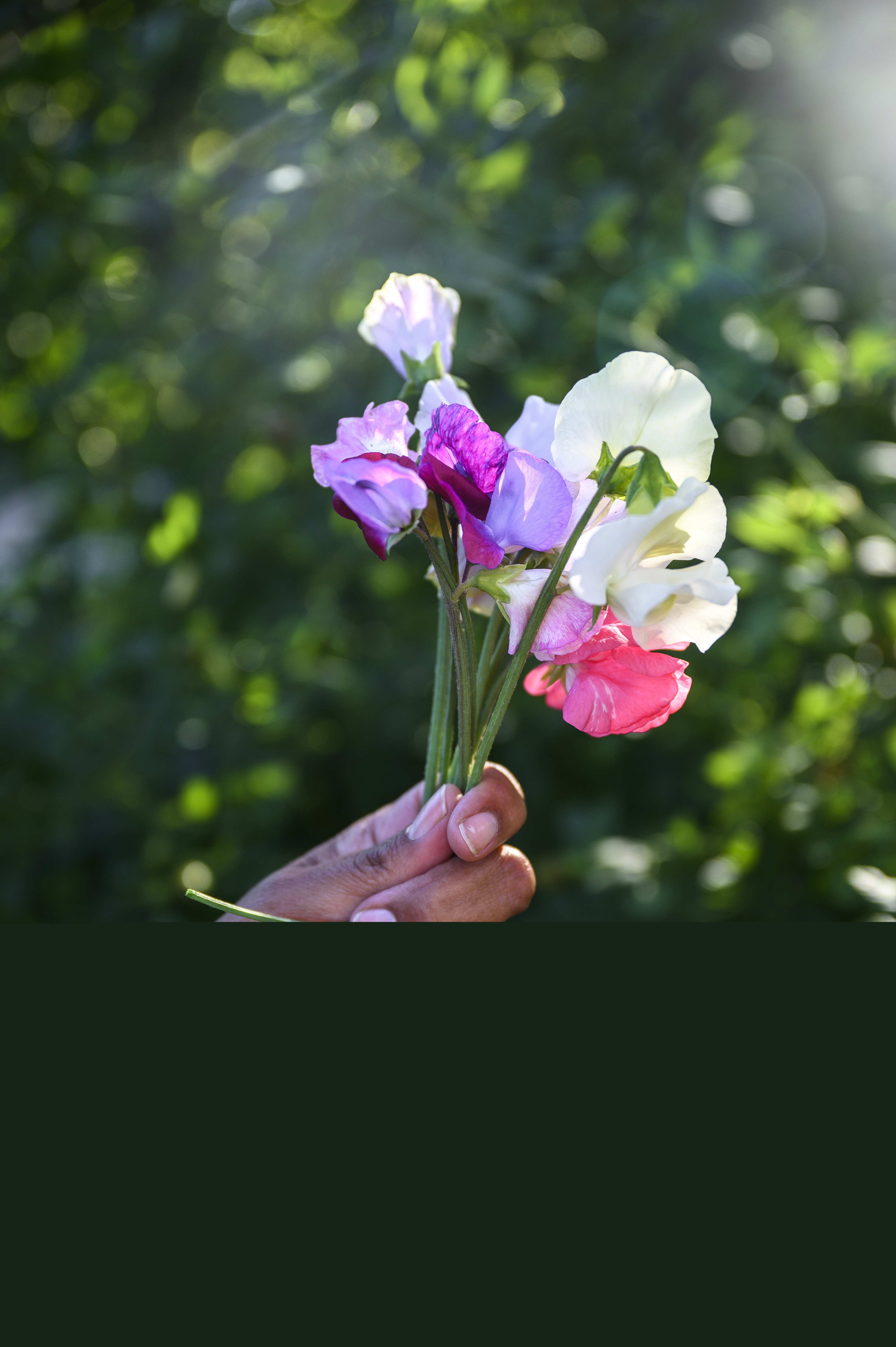 En hand med en blombukett.