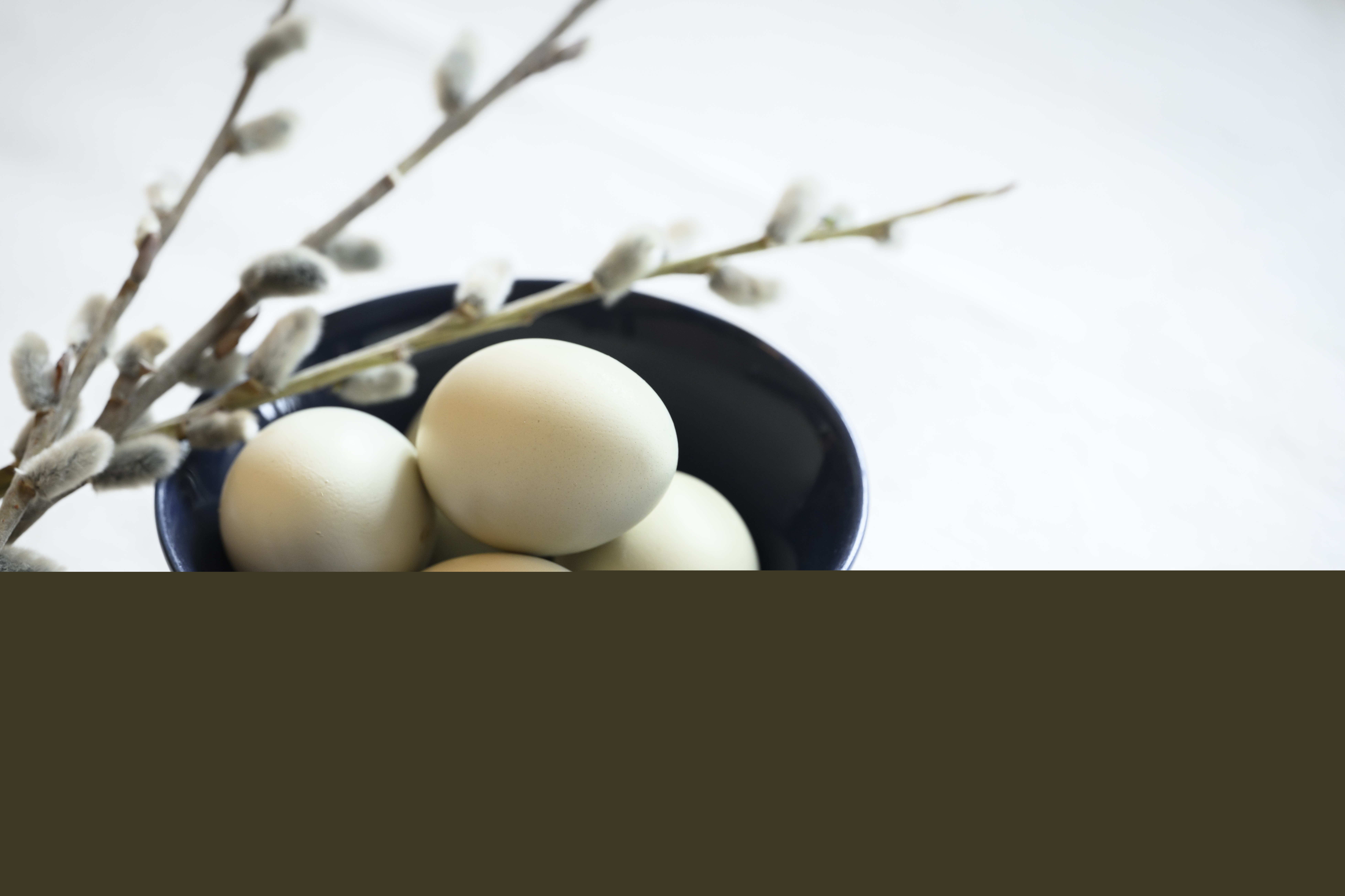 Några ägg i en blå porslinsskål, och en videkvist.