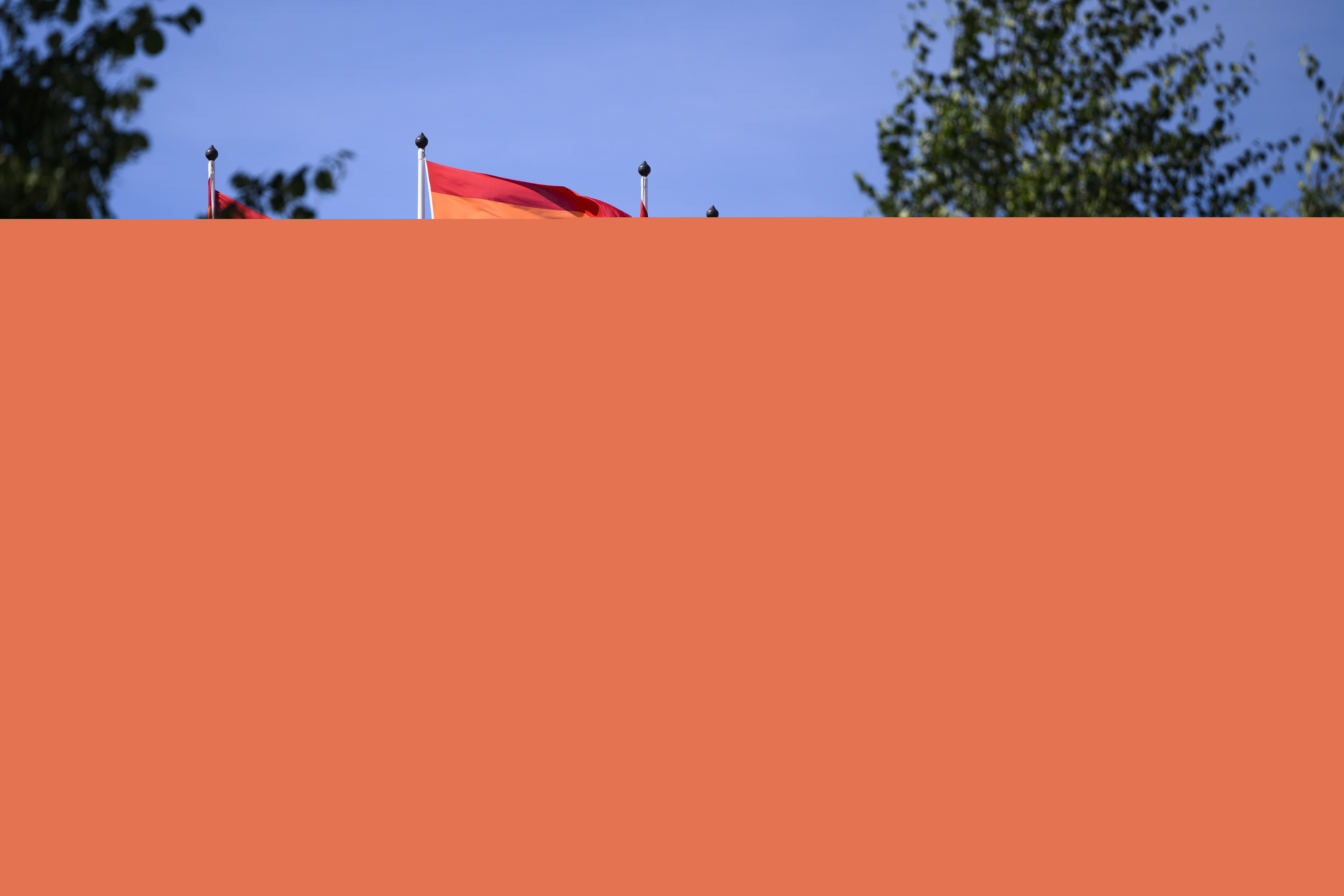 En massa flaggstänger med prideflaggan bakom några trädkronor.