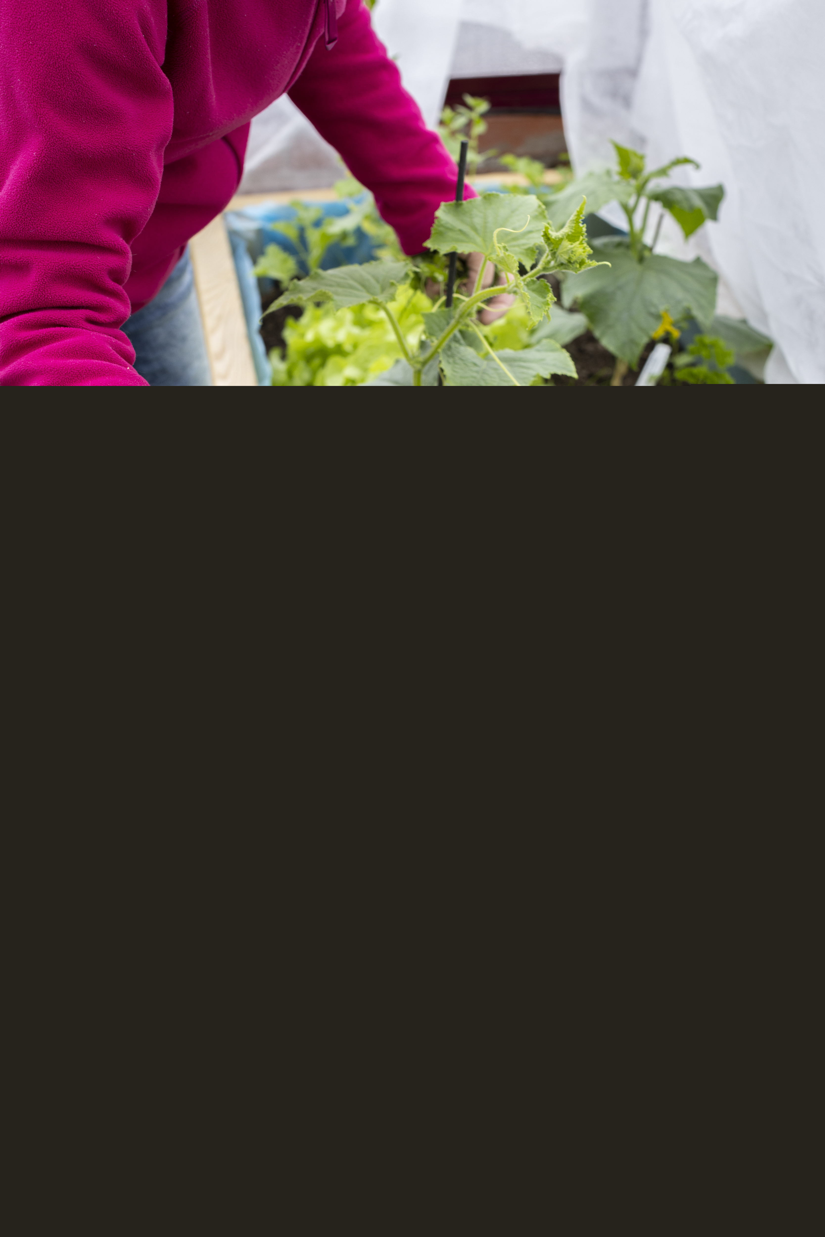 Någon står vid ett par blomlådor och arbetar med växterna.