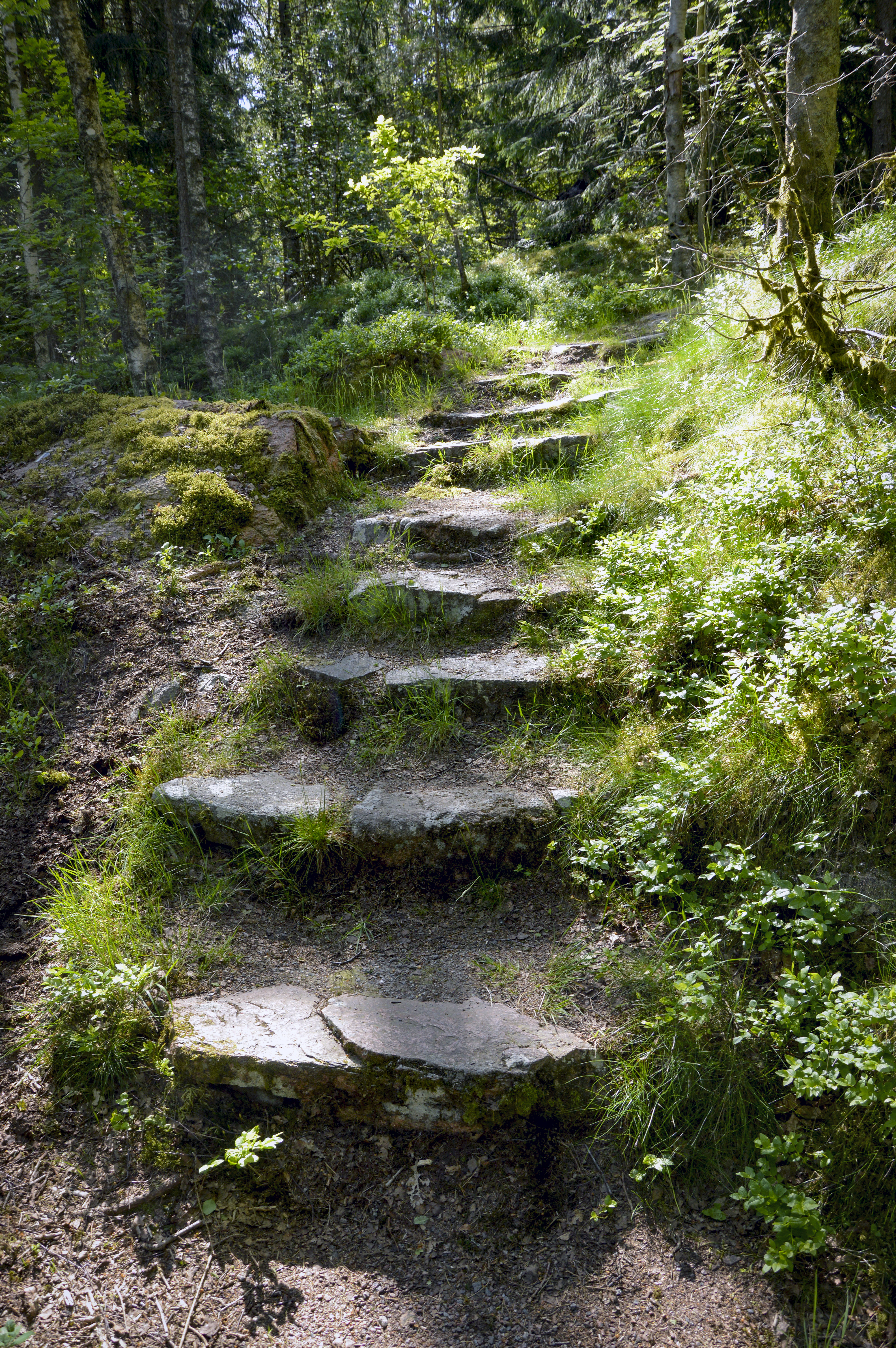 En trappa av stenplattor i skogen.