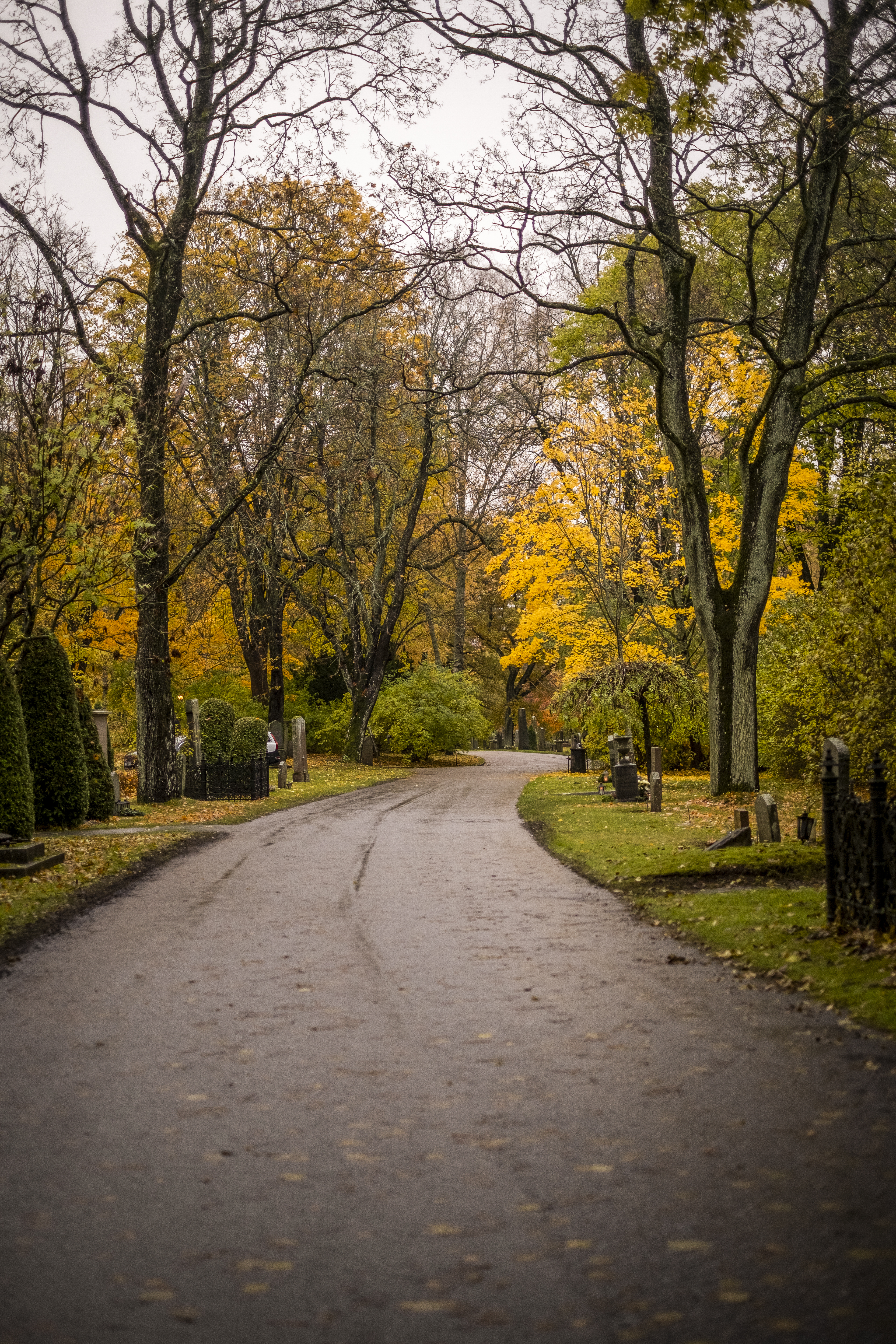En väg genom en kyrkogård. Träd i höstfärger.