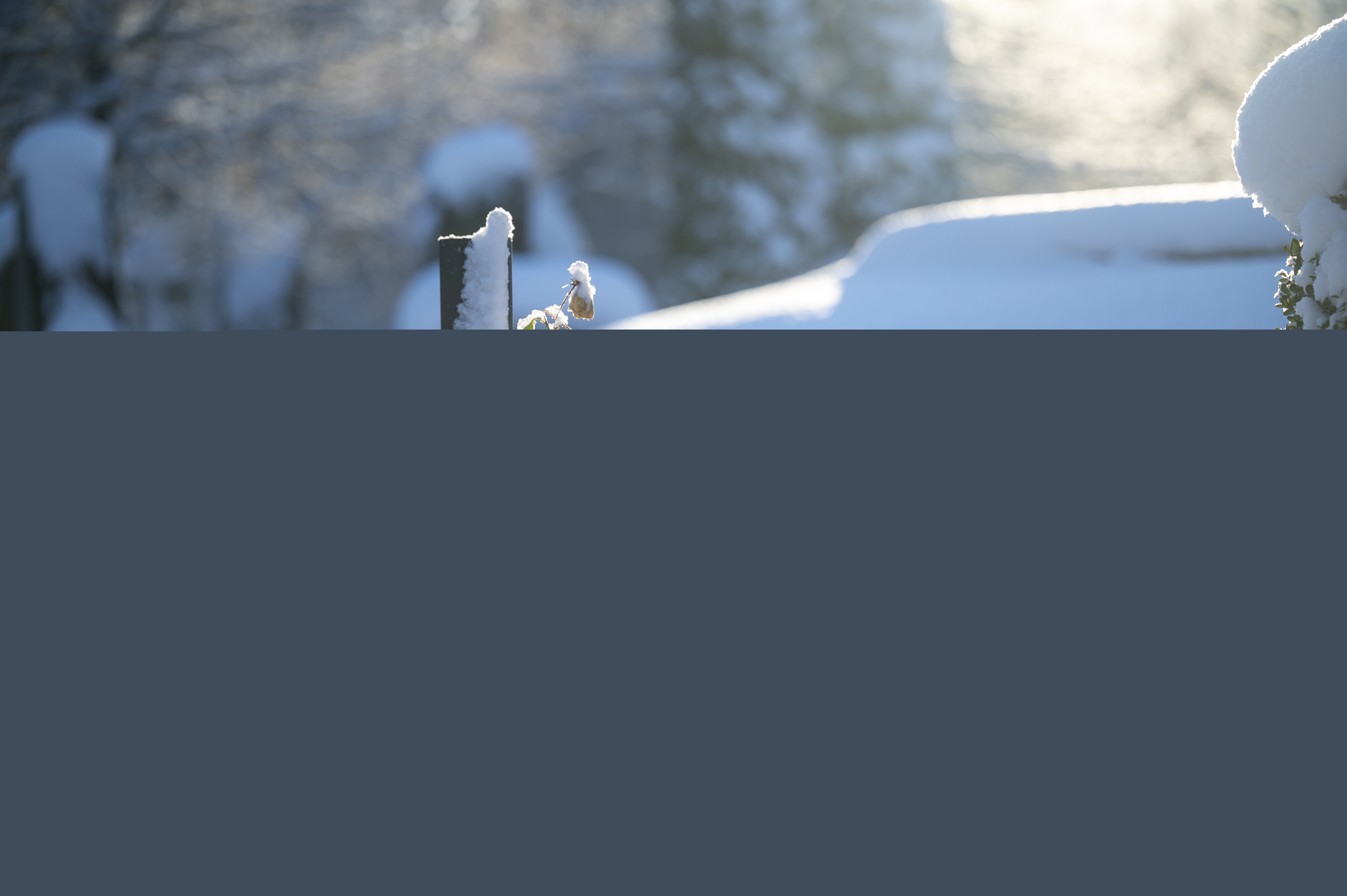 En snötäckt gravplats.