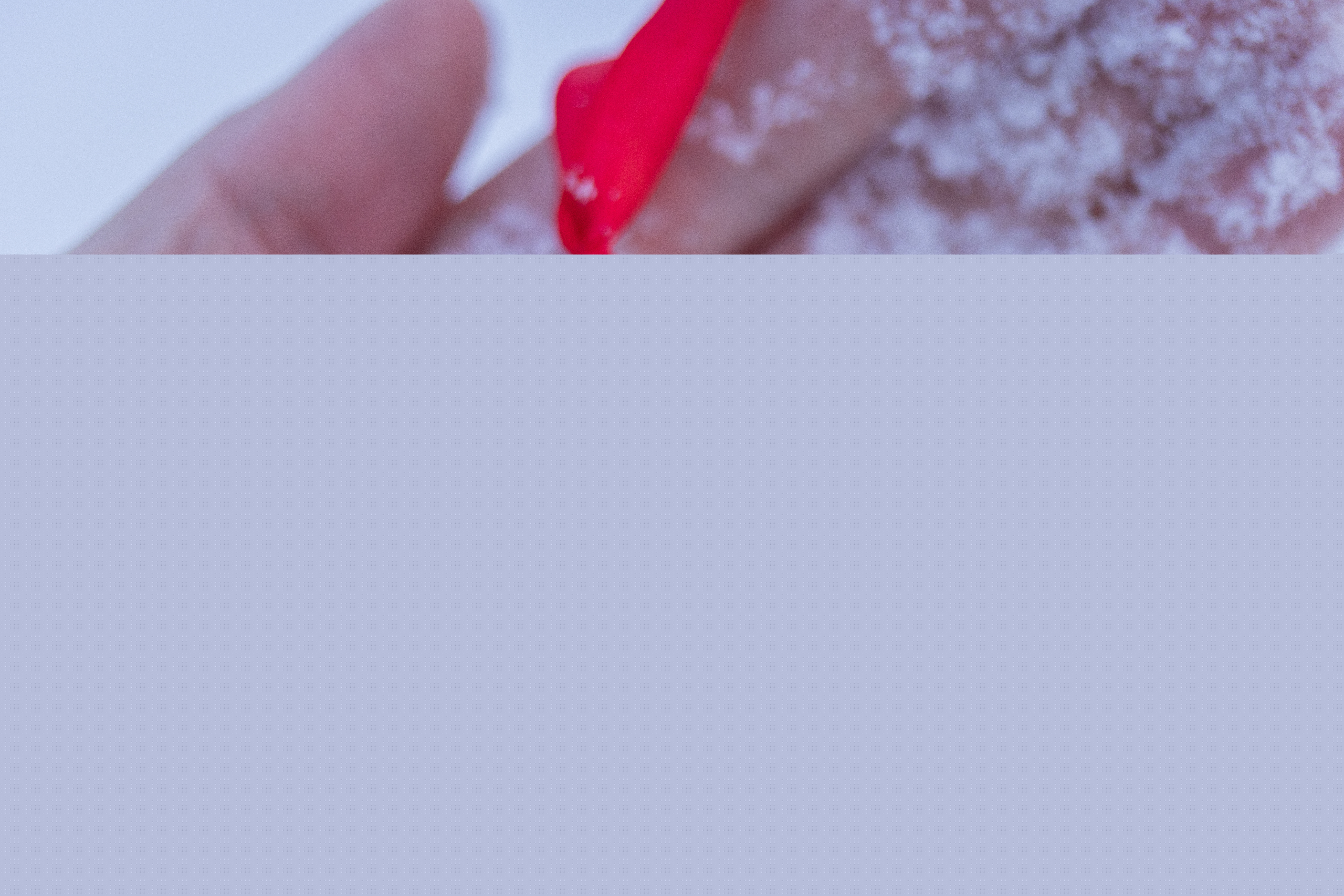 Ett snöigt rött hjärta med siden band ligger i en handflata.