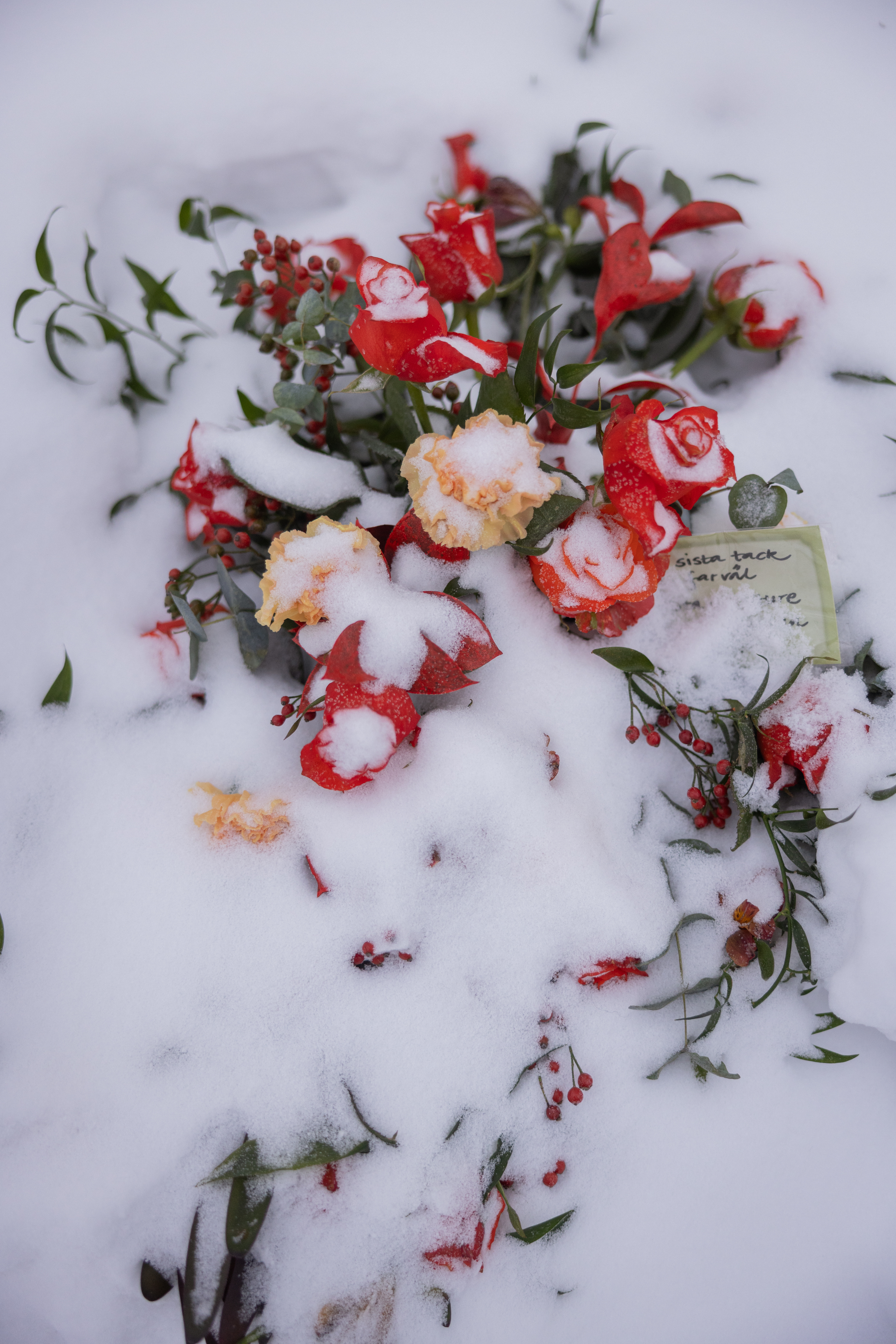 En begravningskrans ligger under nyfallen snö.