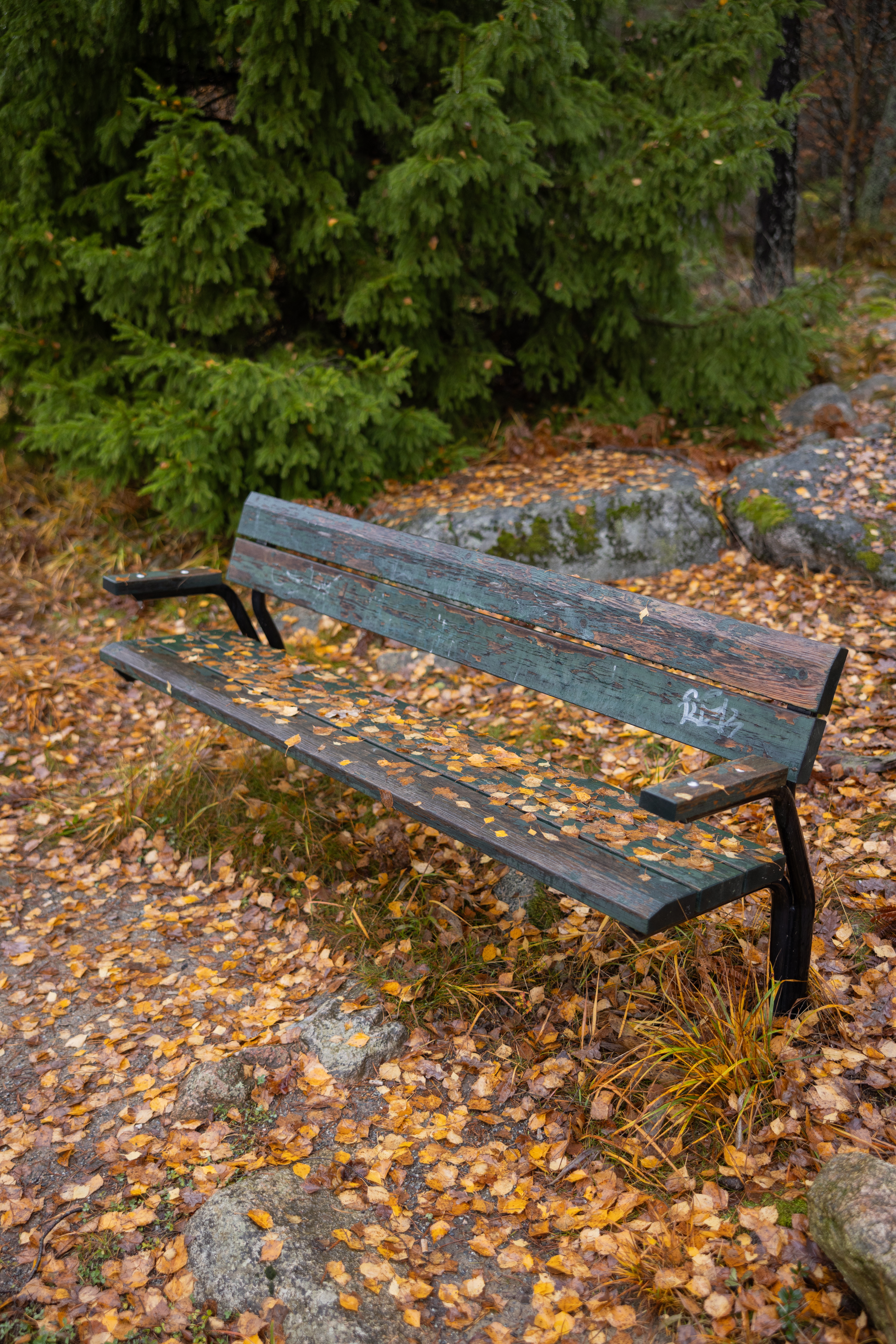 En parkbänk bland höstlöv.