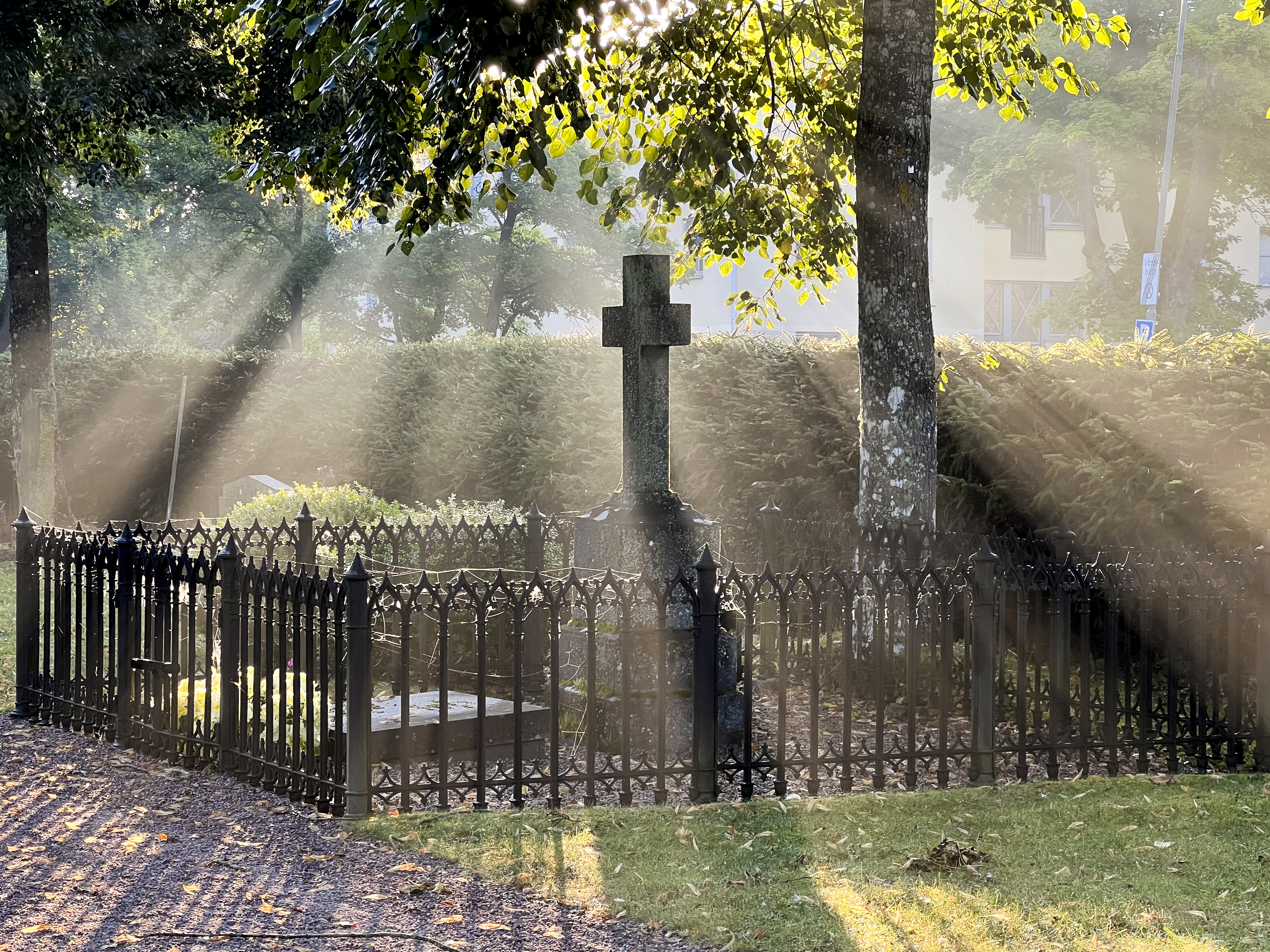 En grav omgiven av ett staket i svart smide. Ett träd står vid graven och strimmor av solsken lyser på graven.