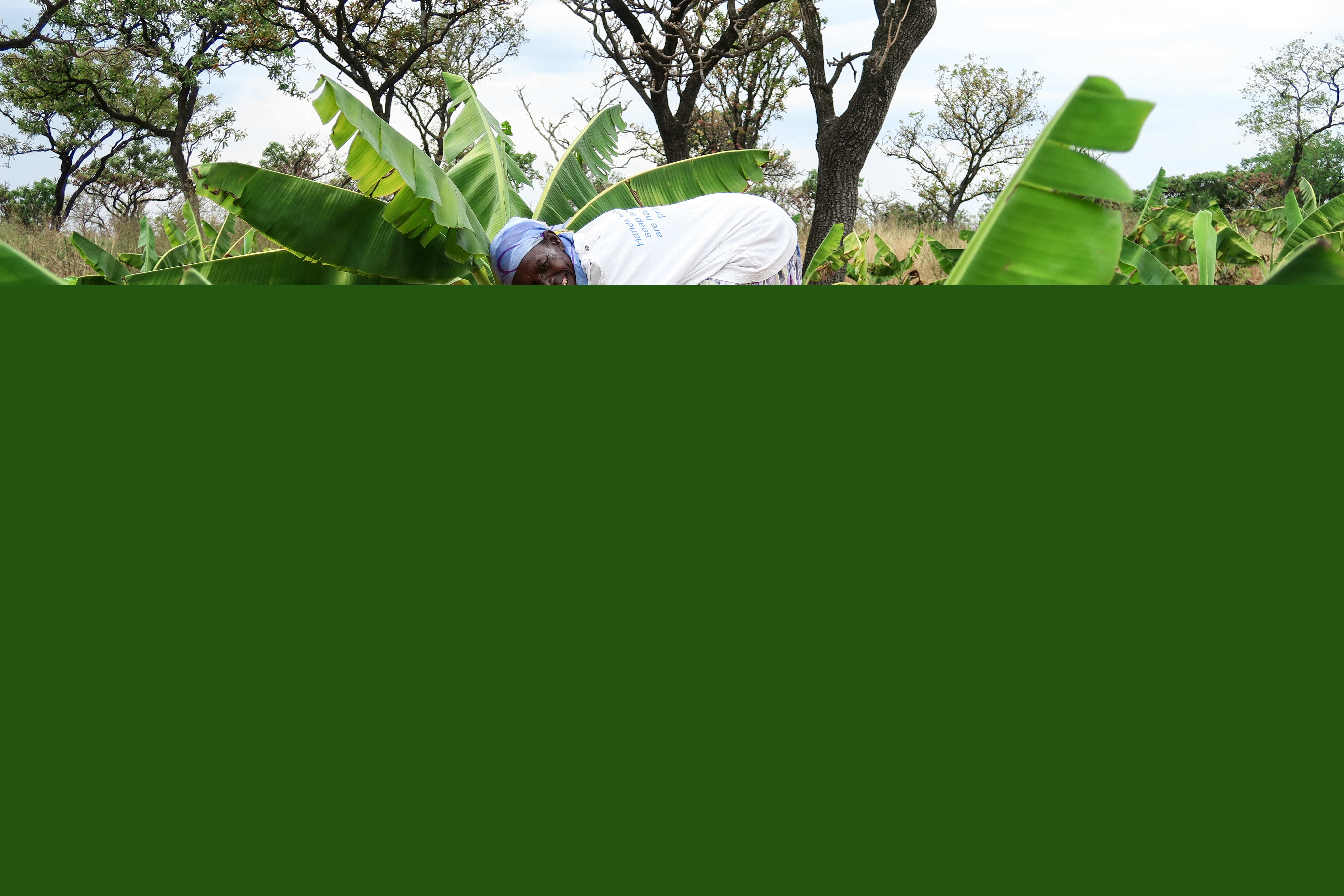 Kvinna i i Uanga står böjd över en planta.