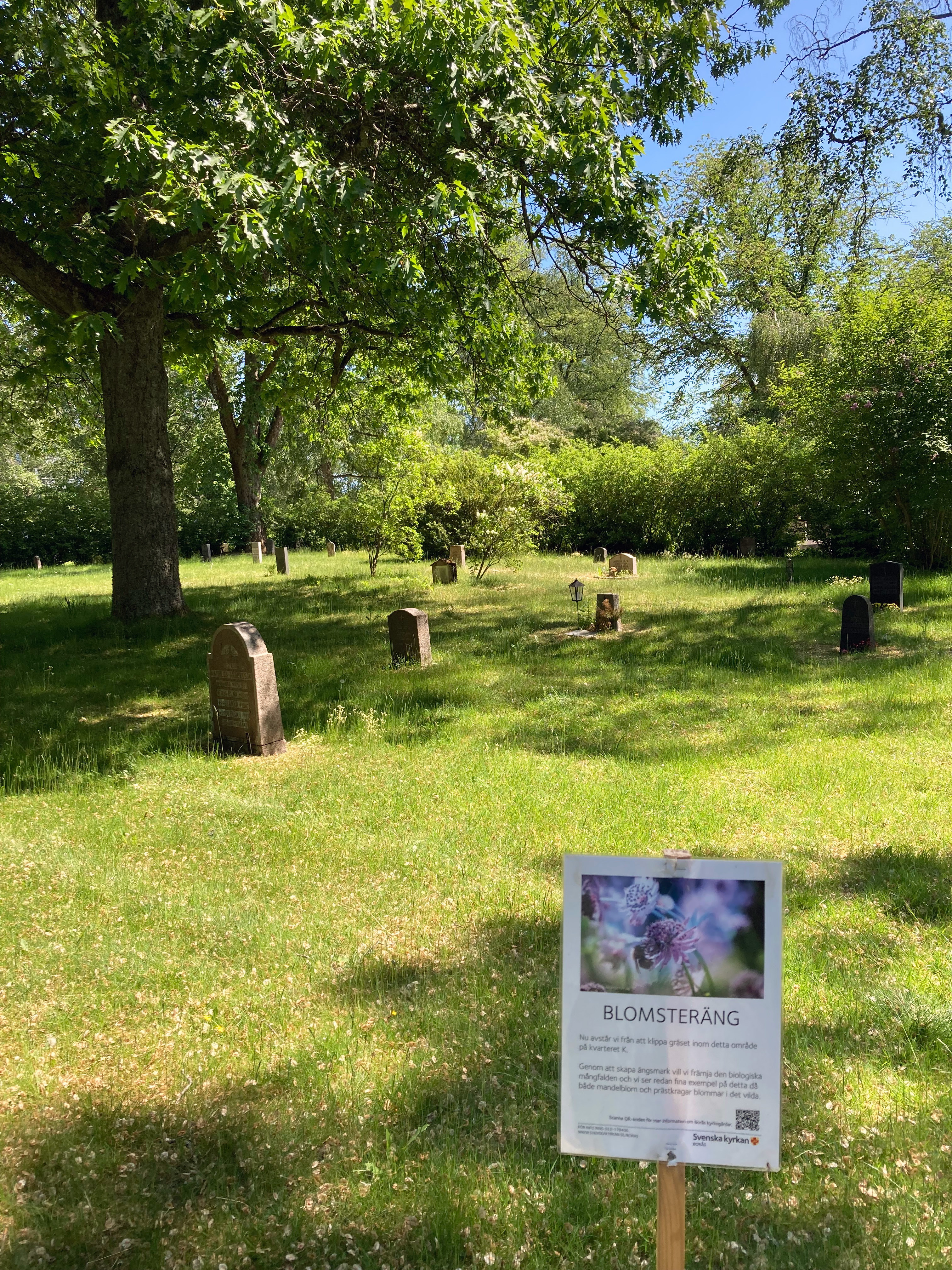 Sommaräng med gravstenar.